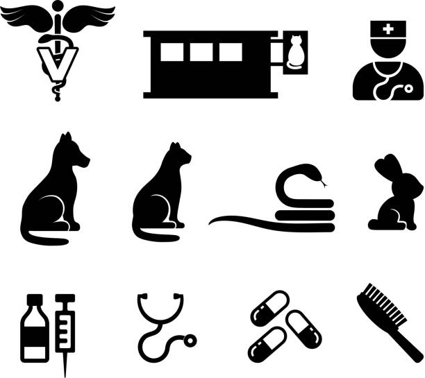 illustrazioni stock, clip art, cartoni animati e icone di tendenza di veterinario bianco e nero icona set vettoriale royalty-free - color image dog snake pets