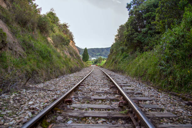 istock Perspective view of train tracks that goes over the Teatinos river 1175768348