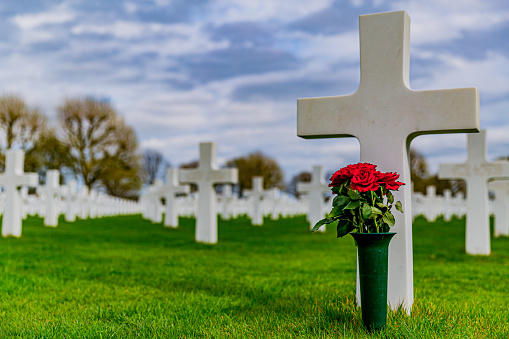 Una Cruz con un jarrón con rosas rojas en el Cementerio Americano Margraten photo