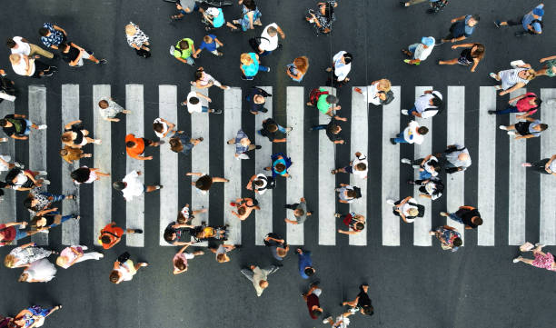 空中。横断歩道の歩行者。トップビュー。 - zebra crossing ストックフォトと画像