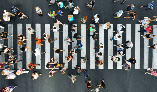 Aerial. Pedestrians on pedestrian crosswalk. Top view. Aerial. Pedestrians on pedestrian crosswalk. Top view. organized group stock pictures, royalty-free photos & images