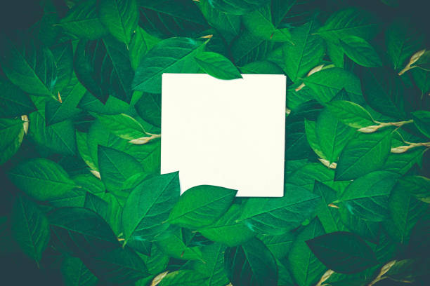istock Empty white paper on a green leaves. Mockup for your design. Minimal composition in flat lay style. Toned. 1175768465