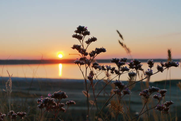 istock Sunset during the Indian summer. 1175770458
