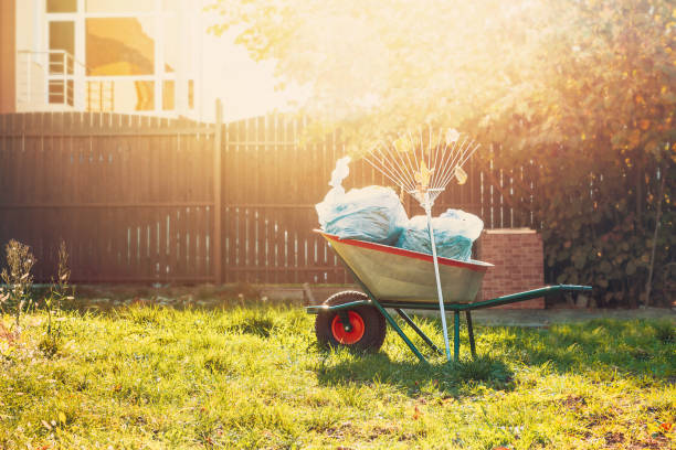taczka ogrodowa z workami na śmieci i grabie stojące na trawie w pobliżu ogrodzenia w ciepłym blasku - garden waste zdjęcia i obrazy z banku zdjęć