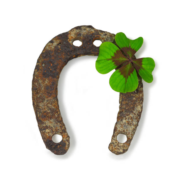 istock Horseshoe and shamrock isolated on white background 1175777085