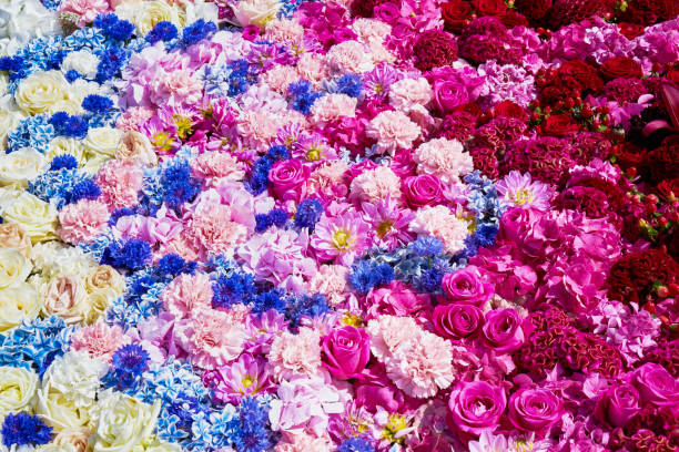 istock Colorful flowers background. Top view. 1175781040