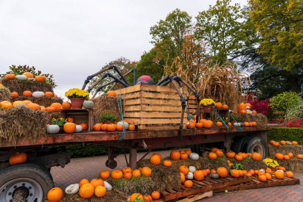 istock Pumpkins on a lorry, autumn view 1175784421