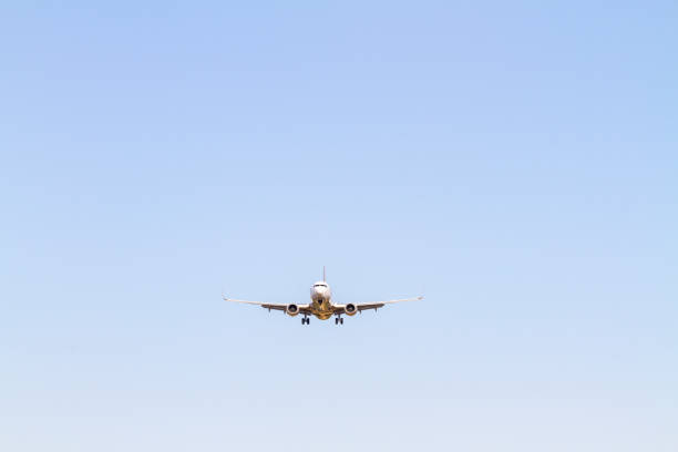 istock Passenger airplane landing or taking off. 1175784516