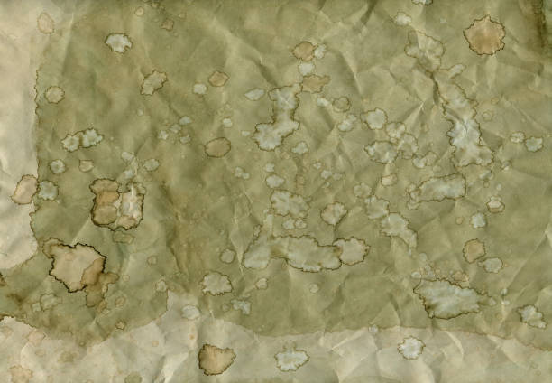 istock vintage old green paper with spots and blots,  background 1175785637