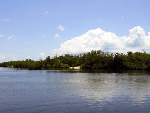istock John Pennekamp Coral Reef State Park 1175785918