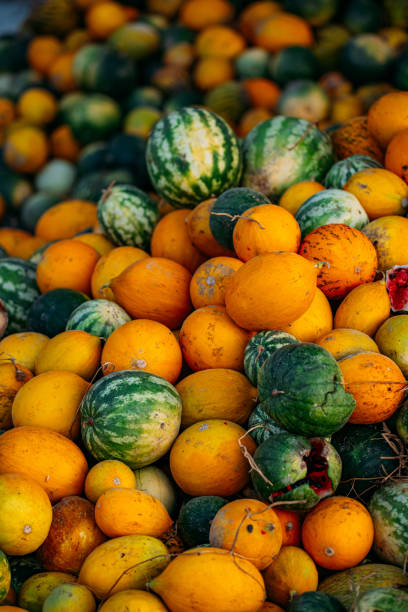 istock Watermelons and Melons After Harvest 1175785947