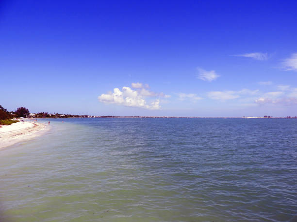 istock Sanibel Beach in Florida 1175786520
