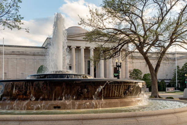 la fuente frente al edificio de la galería nacional de arte durante el festival nacional de flores de cerezo en washington, dc, ee. uu. - us national gallery of art fotografías e imágenes de stock