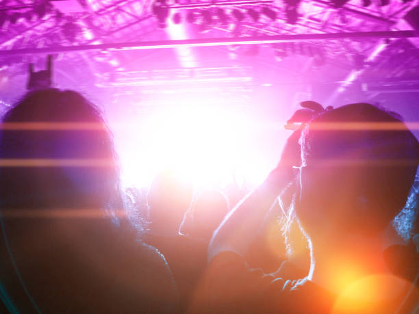 istock Concert crowd in front of a live stage 1175788701