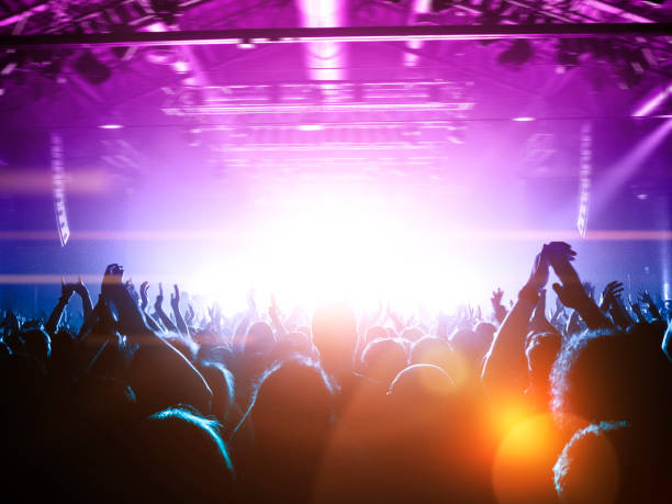 istock Concert crowd in front of a live stage 1175788723