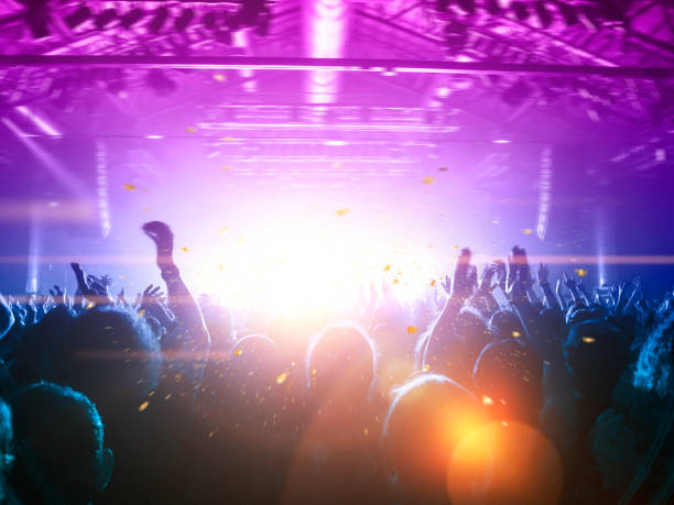 istock Concert crowd in front of a live stage 1175788782
