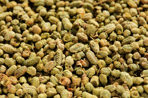 istock Heap of dry thyme background 1175788892