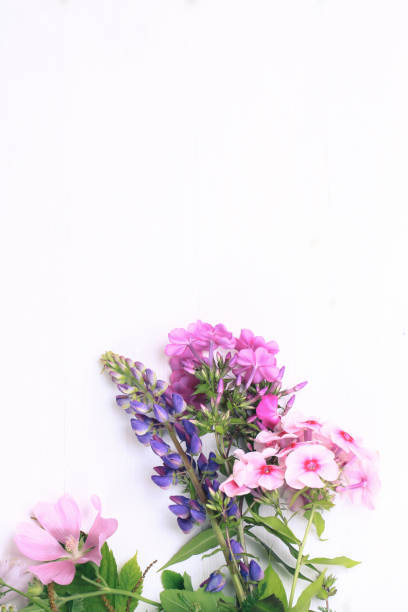 istock spring flowers on a white wooden background 1175791205