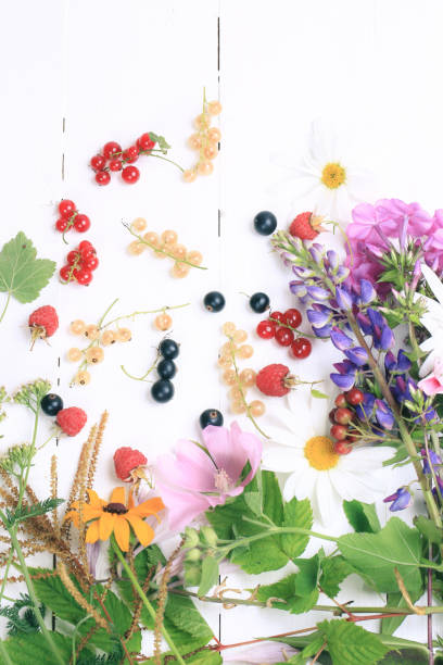 istock spring flowers on a white wooden background 1175791780