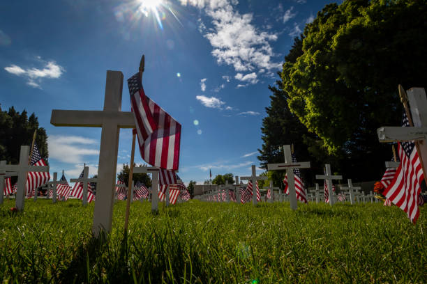 istock Military Grave Markers 1175794402