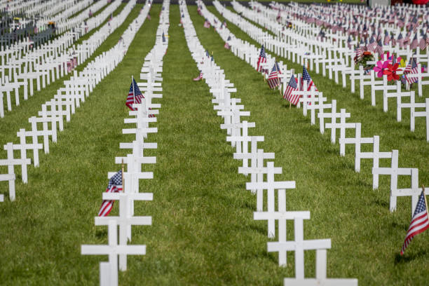 istock Military Grave Markers 1175794442