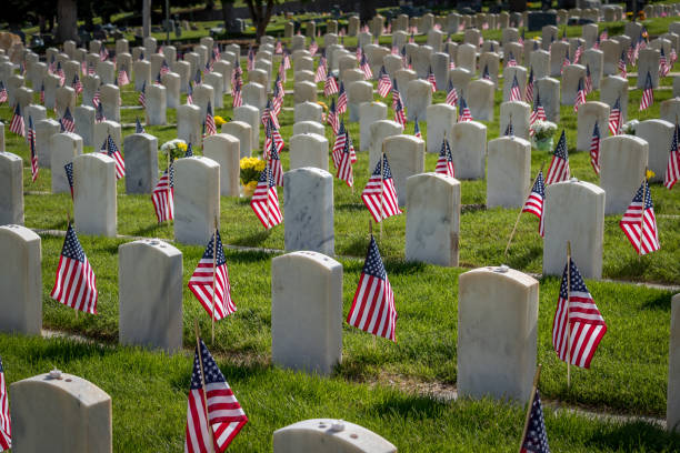 istock Military Grave Markers 1175795282