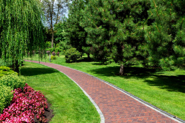 istock empty red tile footpath in well maintained park with a green spaces with a drainage system with a grill along the path on a sunny summer day, nobody. 1175796336