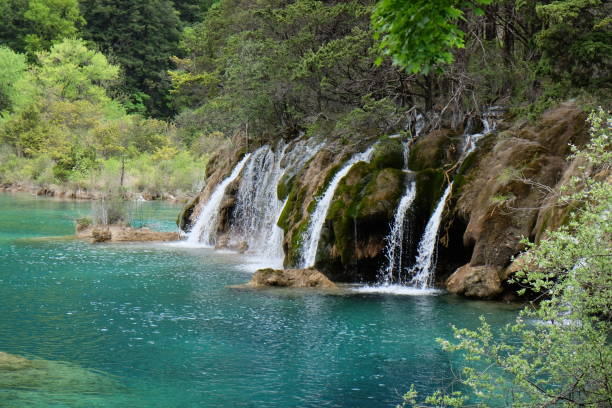 piccola cascata nella valle di jiuzhaigou sichuan cina. - waterfall woods green river foto e immagini stock