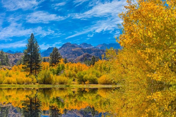 istock Bishop Creek small pond in Autumn, Sierra Nevada Range, CA. 1175800860