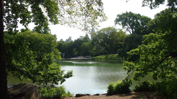 istock Nature in the city (photo 5) 1175801086