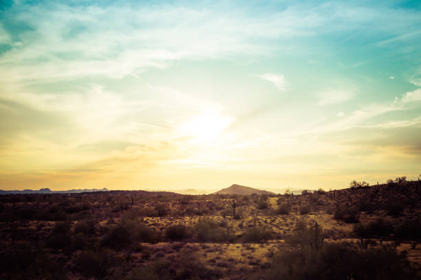 A sunset over the Sonoran Desert of Arizona with high altitude clouds.