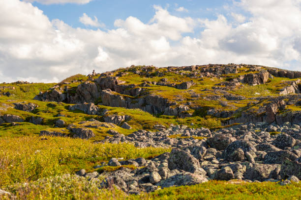istock A rocky hill with grass and moss. 1175804098