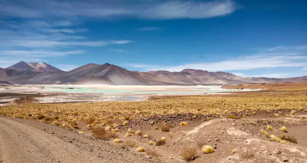 Amazing Lake Miscanti in the highlands of Chile near San Pedro de Atacama and Salar de Tara, a beautiful salty and surroundings