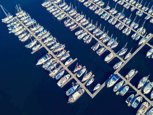 istock Aerial View of Marina 1175809365