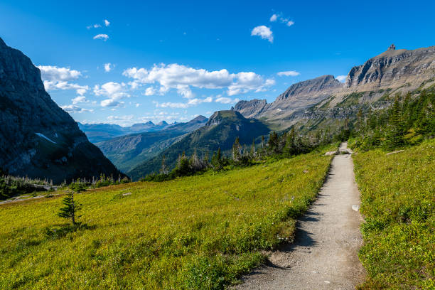 Glacier National Park The overlooks and vistas along the Going-to-the-Sun Road in Glacier National Park butte rocky outcrop photos stock pictures, royalty-free photos & images