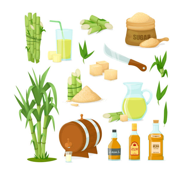 ilustrações de stock, clip art, desenhos animados e ícones de cane sugar with stem and leaf plants vector cartoon illustration - food and drink industry