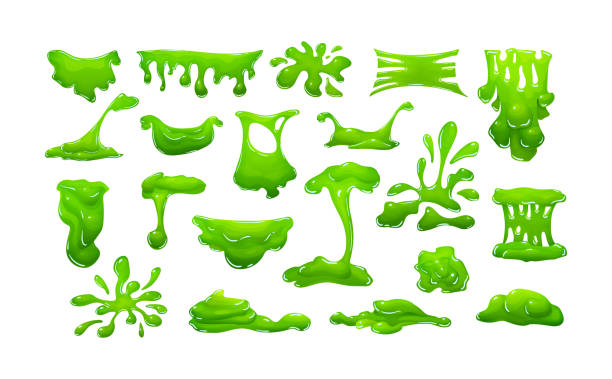 ilustrações, clipart, desenhos animados e ícones de o slime verde realístico na forma da gota do gotejamento espirra borrões - espirro de tinta