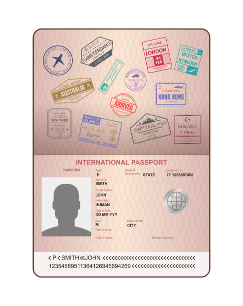 Stamp in passport for traveling an open passport Stamp in passport for traveling an open passport. International arrival visa stamps vector set. International travel document with watermarks, document with visas passport stock illustrations