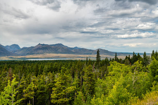 istock Waterton Lakes National Park 1175817387