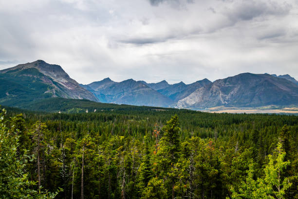 istock Waterton Lakes National Park 1175817651