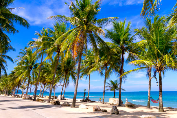 istock Beach Ban Krut Beach idyllic with sky and coconut 1175819475