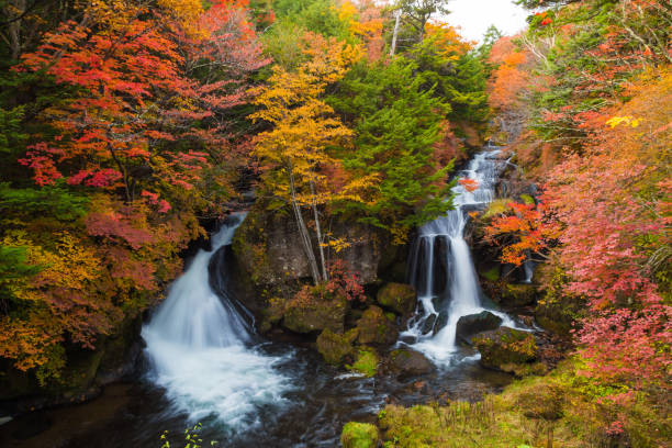 istock Autumn Colors and Ryuzu waterfall 1175825427