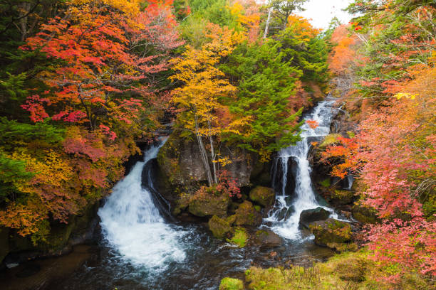 istock Autumn Colors and Ryuzu waterfall 1175825536