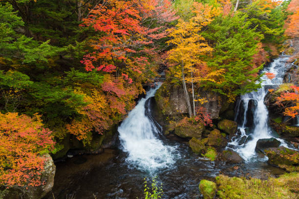 istock Autumn Colors and Ryuzu waterfall 1175825537