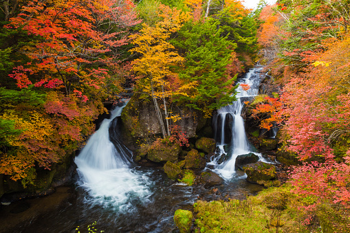 Autumn Colors and Ryuzu waterfall, Nikko Japan