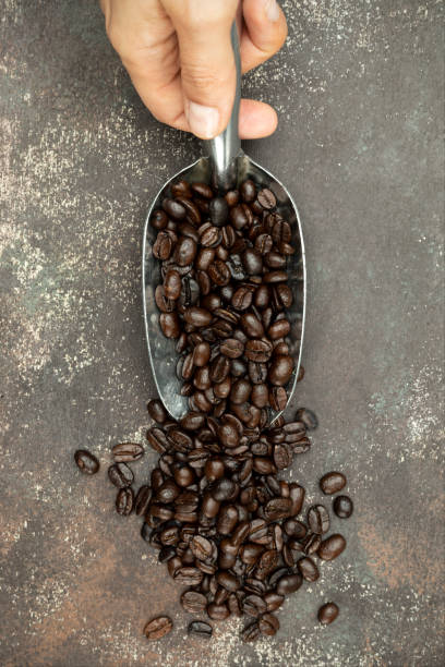 istock Shovel with Coffee Beans 1175827078