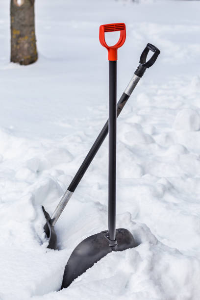 istock Two snow shovels are stuck in the snow 1175831442