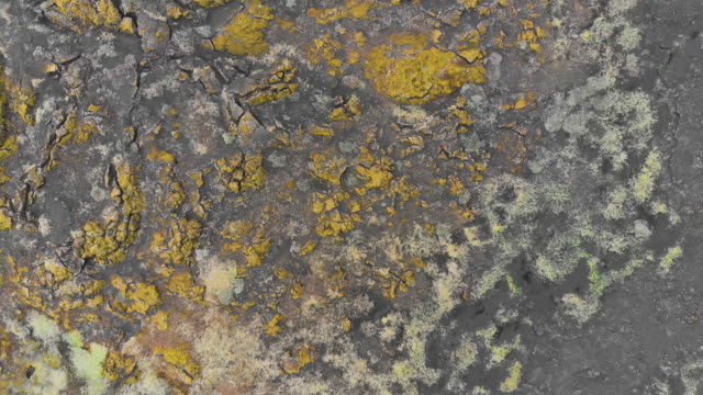 Directly Above View of Crusty Land Surface in Iceland