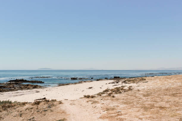 vista na ilha de robben vista do passeio marítimo do ponto na cidade do cabo, áfrica do sul. - panoramic landscape south africa cape town - fotografias e filmes do acervo
