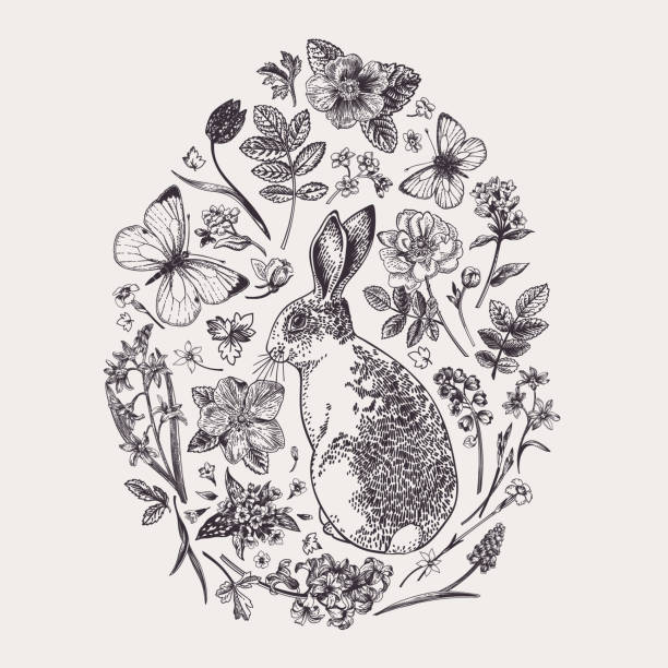 Herbal composition with flowers and rabbit. Composition with a rabbit, flowers and butterflies in the shape of an egg. Butterflies moths. Black and white. easter drawings stock illustrations